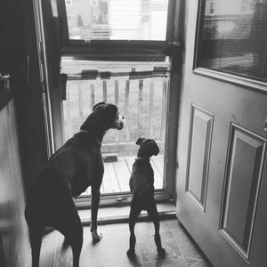 Meet your Posher, Stacey